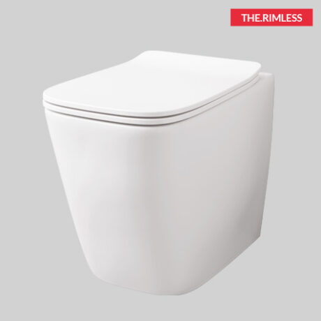 a16 back to wall rimless wc grey olive-without decor