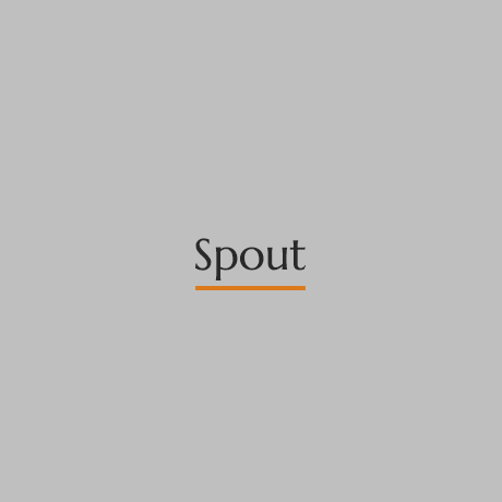 Spout